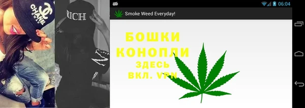 тгк Белокуриха