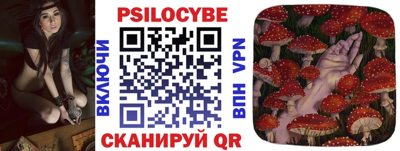 блэк спрут как зайти  наркота  Кодинск  Галлюциногенные грибы Magic Shrooms 